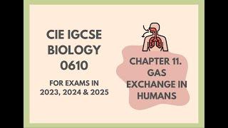 11. Gas Exchange in Humans Cambridge IGCSE Biology 0610 for exams in 2023 2024 and 2025