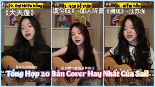 【抖音】VIETSUB 20 Bản Cover Hay Nhất Của Sail  Sail Douyin Cover