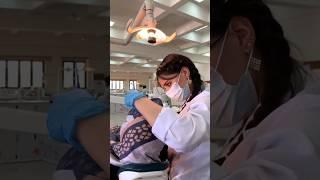 Inside the Life of a Dentist A Day in the World of Smiles