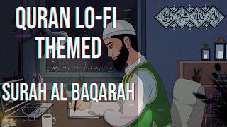 Lofi theme Stress Relief - Relaxing Quran recitation