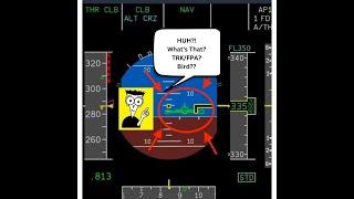 Airbus A320 Tutorial  Unlocking Precision Flying with Flight Directors and TRKFPA
