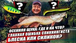 Щука осенью где и на что? Какая главная ошибка спиннингиста? Блесна или силикон что эффективнее?