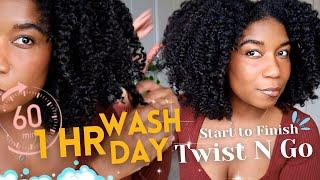 My 1 HOUR Wash Day - Start To Finish Type 4   Twist and Go Natural Hair