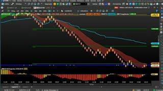 O setup que vale ouro para Day trade mini dólar e mini índice