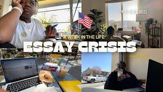 Essay Crisis VLOG Writing a 20 page literature review in 5 days  The Dark Side of Doing a PhD