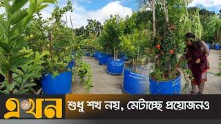 ছাদে ছাদে সবজি আর ফলের বাগান  Rooftoop garden  Faridpur  Ekhon TV