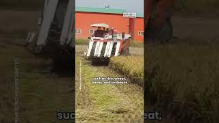 Efficient and Reliable Self-Propelled Harvester