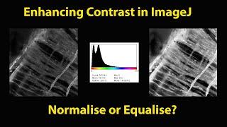 ImageJ Contrast Enhancement