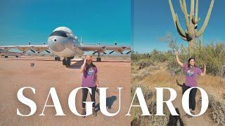 SAGUARO NATIONAL PARK + Pima Air & Space Museum in ARIZONA  USA road trip & travel vlog