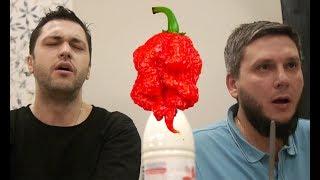 Огонь  Пробуем самый ОСТРЫЙ чили перец В МИРЕ КАРОЛИНА РИПЕР  Carolina REAPER Каролинский жнец 