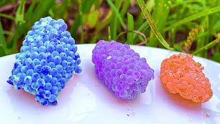 ASMR Crushed snail eggs  Apple snail Eggs 19 Minutes ASMR Relaxing Hungry And Deep Sleep