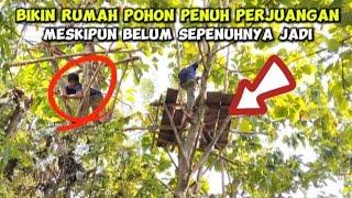 BIKIN RUMAH POHON DI ATAS POHON JATI PENUH  PERJUANGANSEJUK SEKALI BARAYA