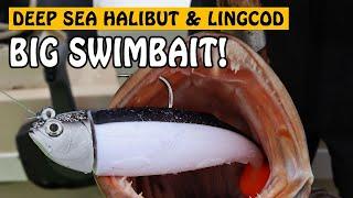 Deep Sea Fishing for Halibut and Lingcod with BIG SWIMBAITS  Fishing with Rod