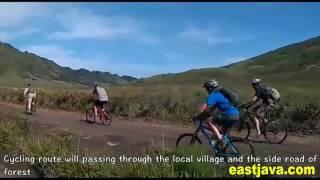 Bromo Ijen Cycling Tours - Banyuwangi Destinations