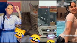 Bagad Billa funny video \\ Bagad BILLA funny reels \\ Ankit .Ang Funny Cat Video \\#comedy