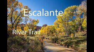 Utah Fall Weather Hike along the Escalante River Trail.  2 Utah Hikers- Photography