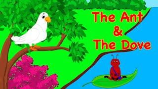 The Ant and the Dove  Moral Story  Bedtime Stories  Itsy Bitsy Toons - English Stories
