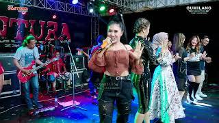 NEW PANTURA MUSIC - GOYANG PANTURA - ALL ARTIST - KHITANAN AKHTAR PAREN MAYONG JEPARA