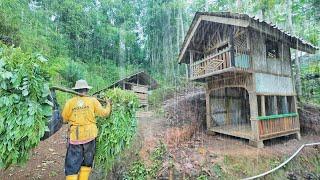 SUASANA SORE YANG TENANG TURUN HUJAN DAN KABUT DI KAMPUNG NAMBAH BETAH PEDESAAN SUNDA JAWA BARAT