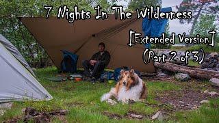 7 Night Wilderness Camping Adventure With My Dog EXTENDED VERSION Part 2 of 3