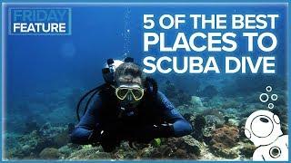 5 Of The Best Places To Scuba Dive