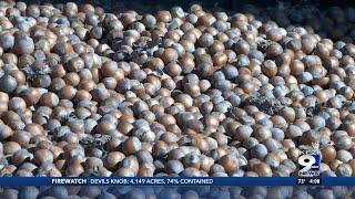 Beloved hazelnut farmer delivers last load of nuts