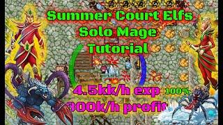 Best Place to Hunt Solo Mage - Summer Court Castle - 4.5kkh 100% + Profit - Tibia 2021