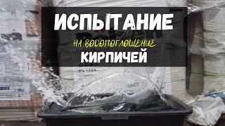 Какой кирпич выбрать? Испытание кирпичей на водопоглощение.