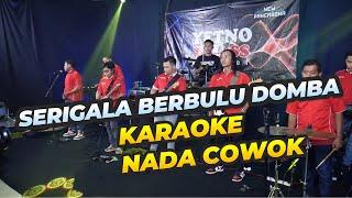 SRIGALA BERBULU DOMBA KARAOKE NADA COWOK PRIA