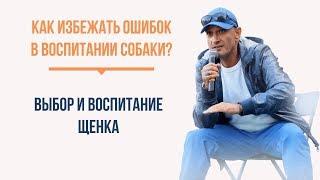 Как избежать ошибок в воспитании собаки? 5 органов чувств формирующих реальность собаки