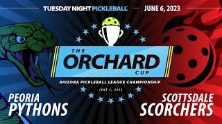 AZ PBL CHAMPIONSHIP NIGHT - Peoria Pythons vs Scottsdale Scorchers Tue June 6 Season 1