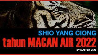 SHIO Yang CIONG di Tahun MACAN AIR 2022 - RAMALAN SHIO dan TIPS buat SHIO YANG CIONG pada tahun 2022