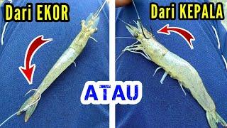 The Best Ways to Hook Live Shrimp Bait