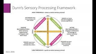 Sensory Processing & Autism