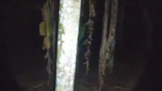 Live Misteri Hutan angker purbalingga