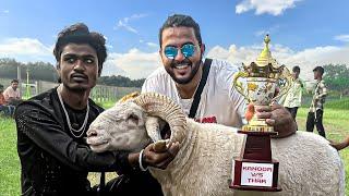 Inside the Secret Goat Fights of India