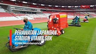 MENGENAL TEKNIK PERAWATAN RUMPUT SUGBK l AERASI DAN TOP DRESS