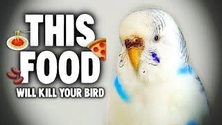 Top 10 Vegetables & Fruits That Will Kill Your Bird