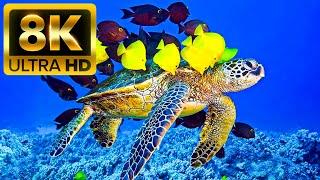 THE OCEAN - 8K 60FPS ULTRA HD - With Nature Sounds Colorfully Dynamic