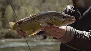 Jackson River Trout Fishing with Wesley Hodges