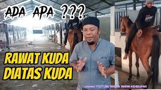 Rawat kuda di atas kuda