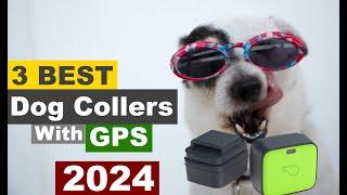 Top 3 Best Dog Collars With GPS For 2024   Best Pet Collars For Dogs