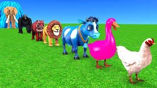 Paint Animals Cow Gorilla Duck Lion Chicken Sheep Tiger Elephant Fountain Crossing 3DAnimals Cartoon