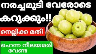 Natural Hair Dyeനരച്ചമുടി വേരോടെ കറുപ്പിക്കാൻ നെല്ലിക്ക മതി#trending#naturalhairdye