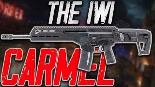 The IWI Carmel