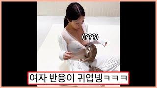 방심한 틈에 공격당한 누나 웃긴영상