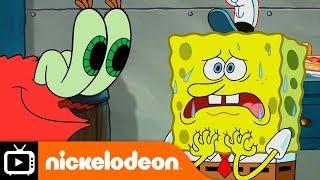 SpongeBob SquarePants  X-Ray Vision  Nickelodeon UK