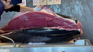 GIANT TUNA CUTTING Sharpest Bluefin Tuna Knife  Masters Amazing Skill