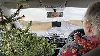 Kate and Anna collect the Christmas Tree