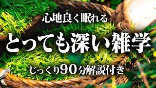 【睡眠導入】良質睡眠の深い雑学【リラックス】とても深い雑学編